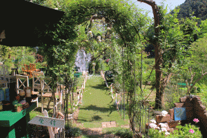 garden