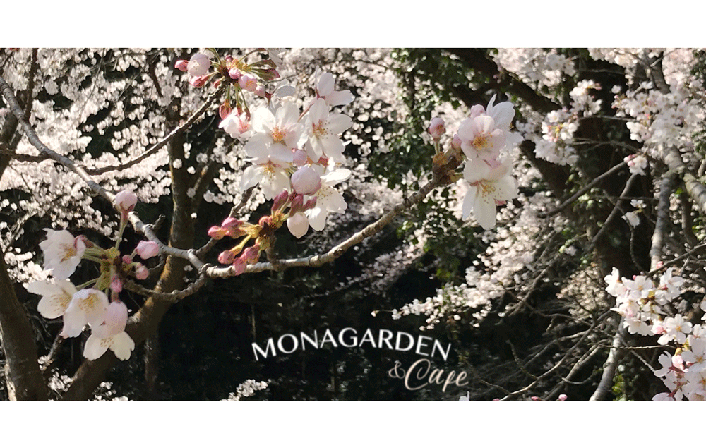 Mona Garden 埼玉県毛呂山町ゆず畑オープンガーデン もなガーデン へ